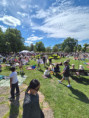 /album/midsommar-2026-foto-martin-nilsson/midsommarafton-pa-hagelby-20260619-144353-jpg/